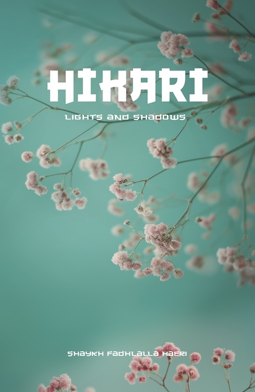 Hikari: Lights and Shadows