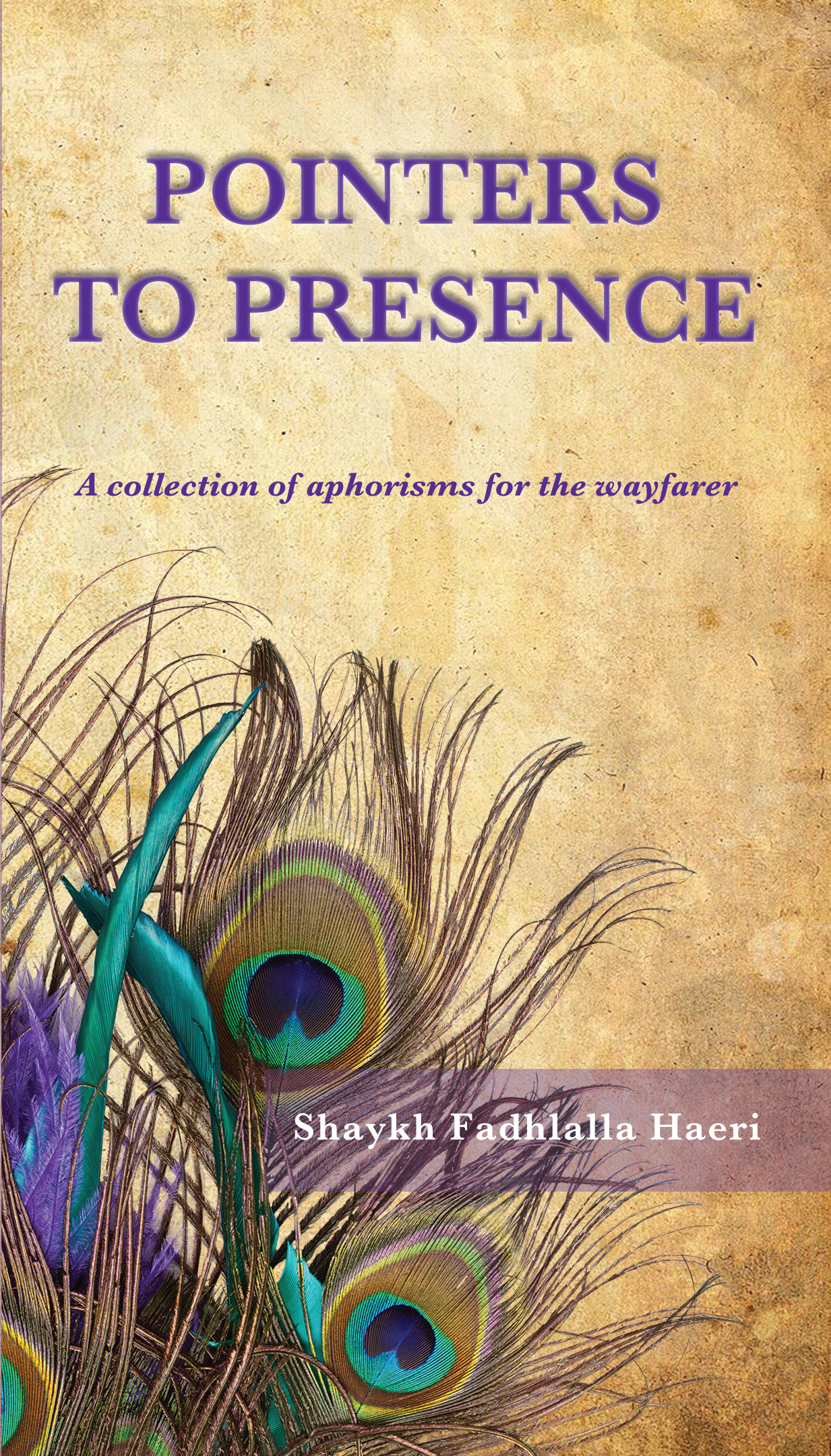 Pointers to Presence: A Collection of Aphorisms for the Wayfarer